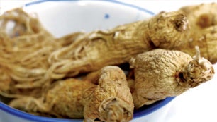 ginseng