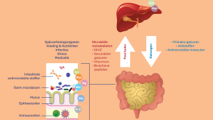 Microbiota-darm-lever-as