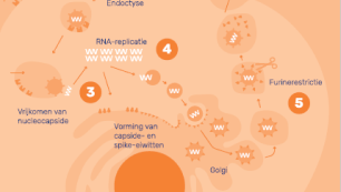 Post-Viraal Syndroom