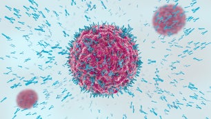 Module 7. Immunologische aandoeningen
