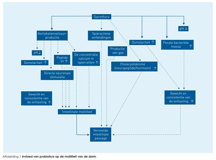 Diagram darmproblemen