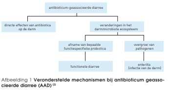 Flowchart probiotica