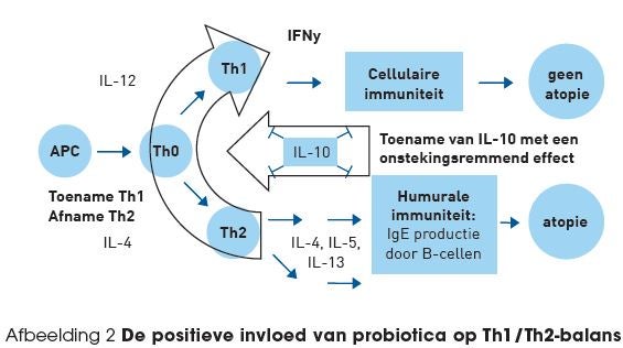 Probiotica interactie