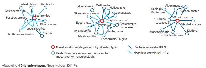 diagram darmwerking