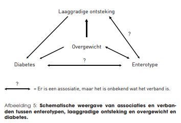 diagram darmwerking