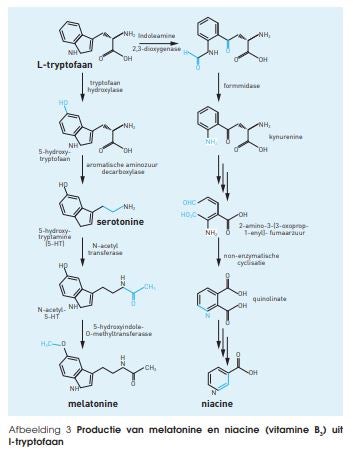 Afbeelding stress