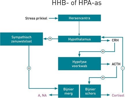 Grafiek stress en burn-out